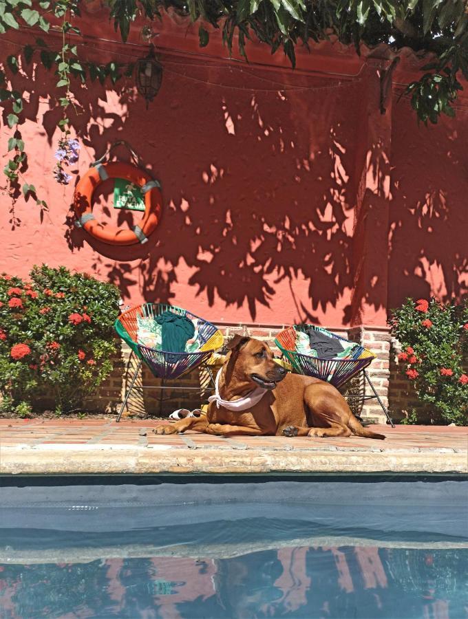 Hotel Casa De Verano - Solo Adultos - 圣菲德安蒂奥基亚 外观 照片